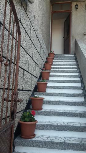 Hostal Guest House Mistral