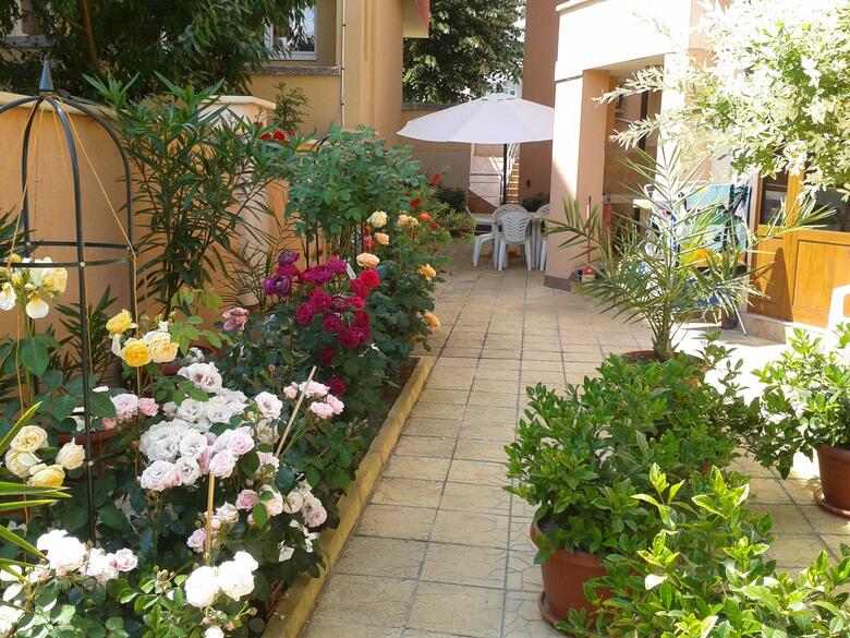 Hotel Chuchulev