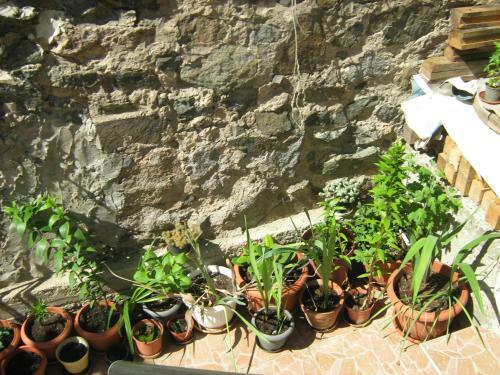 Hostal Apartment Nevena