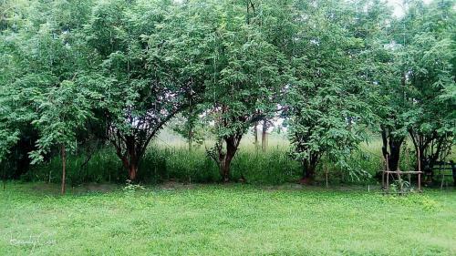 Motel Wilpattu Buma