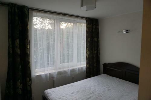 Downtown Apartaments