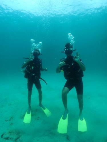 Albergue Seahorse Diver Guesthouse