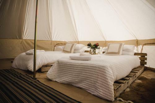 Criffel Station Glamping
