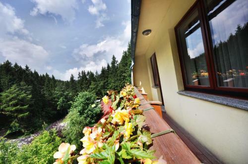 Hotel Jelenia Struga Medical Spa