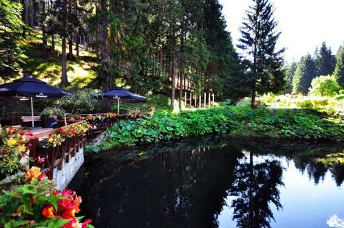 Hotel Jelenia Struga Medical Spa