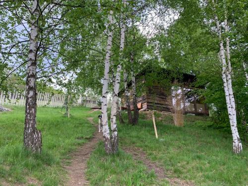 Mellodge Trees House