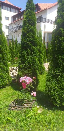 Hotel Miraj