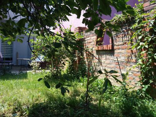 Apartamento Marijanam