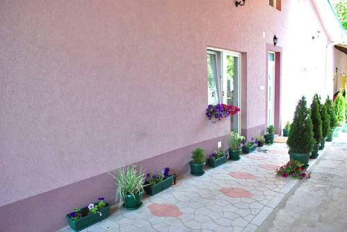 Apartmani Ema