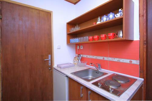 Apartment Vila As