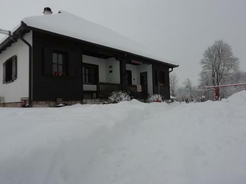 Apartment Zova