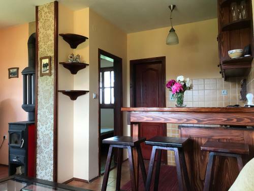Apartment Zova