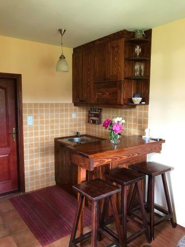 Apartment Zova
