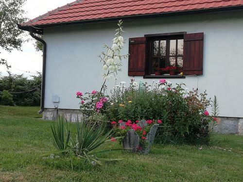 Apartment Zova