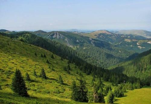 Apartman Nina Kopaonik Centar