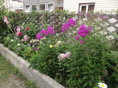 Hostal Guest House Solnyshko