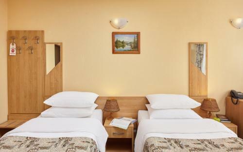 Park Hotel Zvenigorod