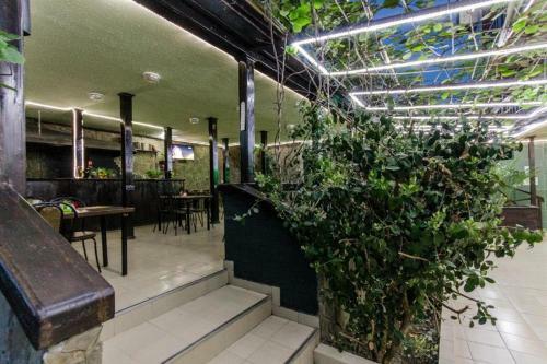 Hostal Guesthouse Kolumb