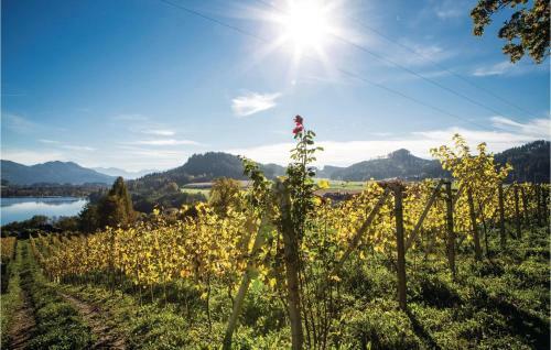 Two-bedroom Apartment In St. Georgen Am Langsee