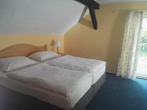 Hostal Penzion U L�py