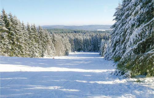 Two-bedroom Holiday Home In Prum Ot Walcherath