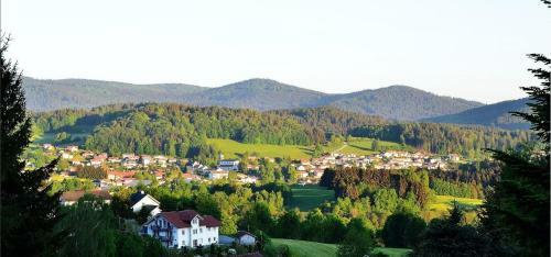 Apartamento Fewo-kramheller-gotteszell