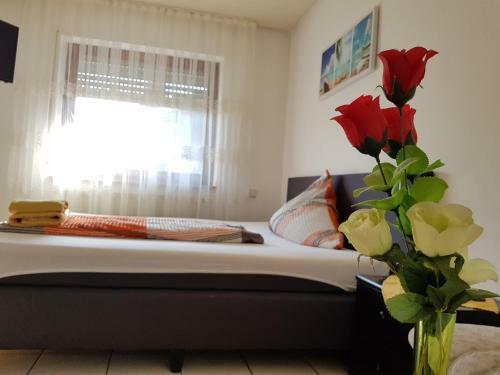 Hostal Hotel Rosenbach