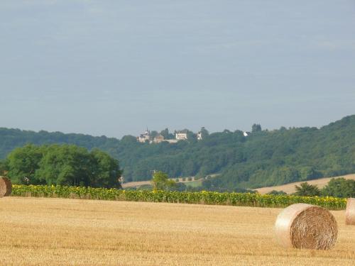Spacious Farmhouse In Champallement Near Forest