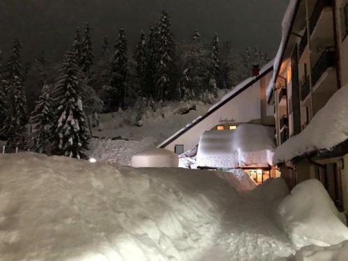 Deluxe Apartments