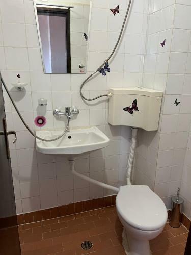 Hostal Stedi Guest Rooms