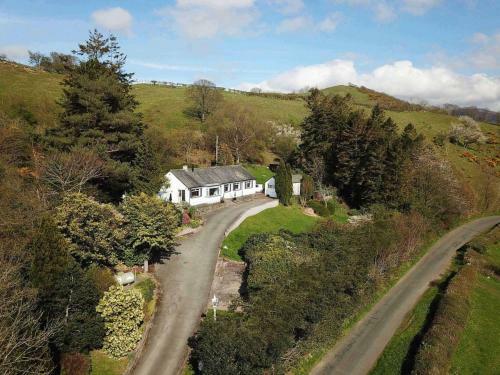 Holly Bank