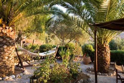 Hostal Yiannis Retreat