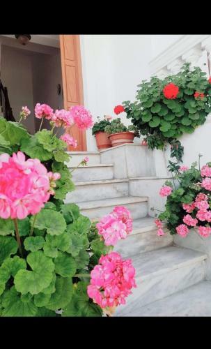 Apartamento Anesis