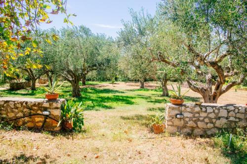 Apartamento Traditional House In A Natural Oasis