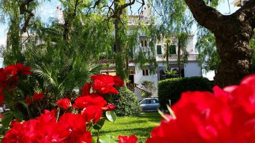 Hostal Villa Belle Rive