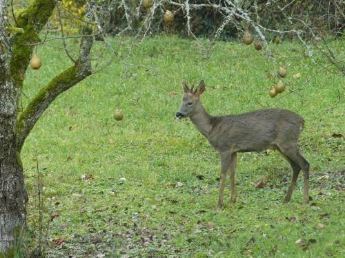 Bed & Breakfast Val De La Nef