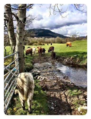 Drumbuie Farm B&B