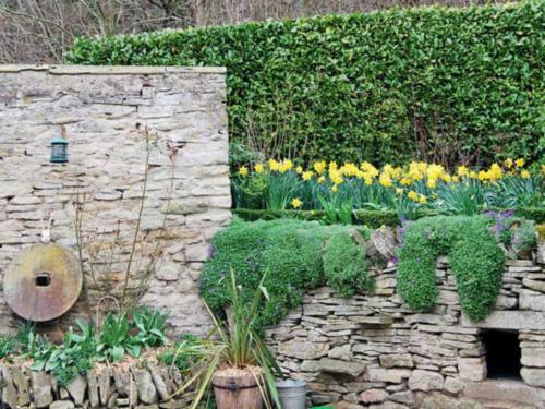 Ashberry Farm Cottage