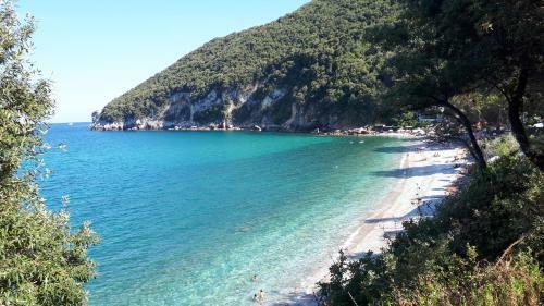 Hostal Dionysos Villa