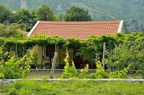 Ivan's Holiday Home