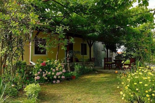 Ivan's Holiday Home