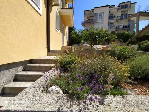 Apartment Milena