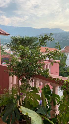 Apartment Kuljic