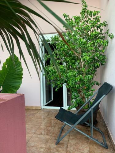 Apartment Kuljic