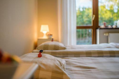 Hostal Przysta? Przy Lesie
