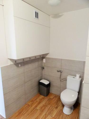 Apartament Caminski