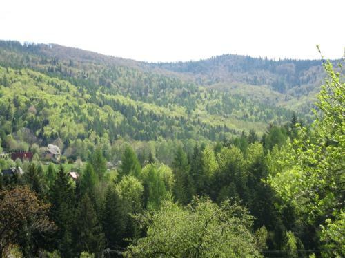 Hostal Miodowy Raj