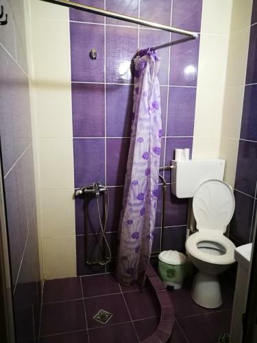 Hostal Pensiunea Remus
