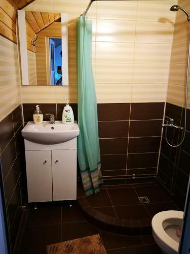 Hostal Pensiunea Remus