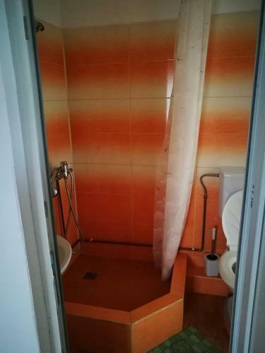 Hostal Pensiunea Remus